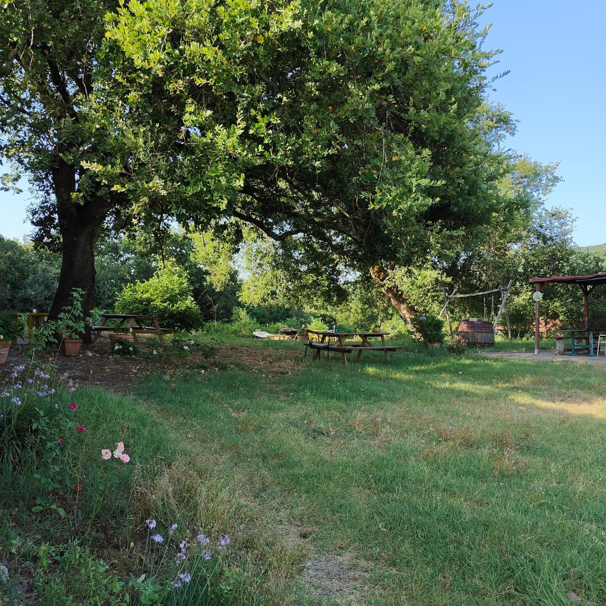 Agriturismo Il Casalino Pari Luaran gambar
