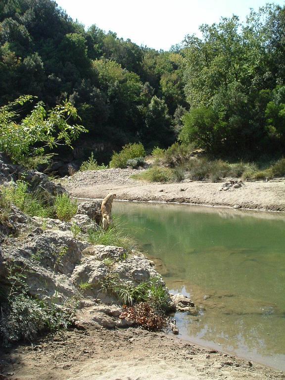 Agriturismo Il Casalino Pari Luaran gambar