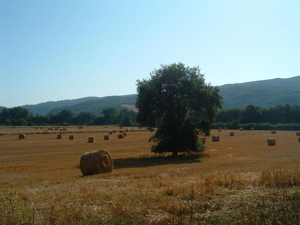 Agriturismo Il Casalino Pari Luaran gambar