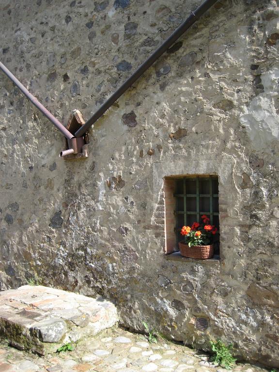 Agriturismo Il Casalino Pari Luaran gambar