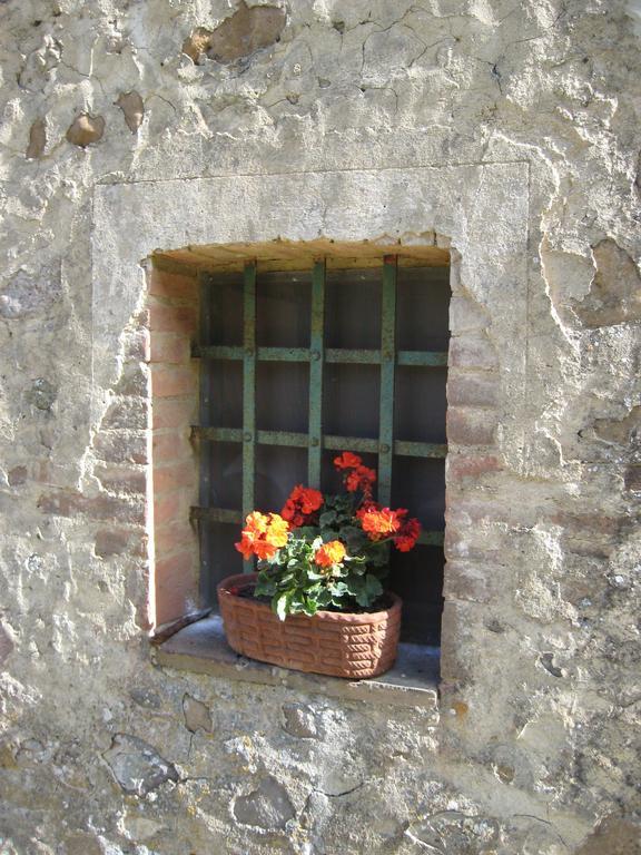 Agriturismo Il Casalino Pari Luaran gambar