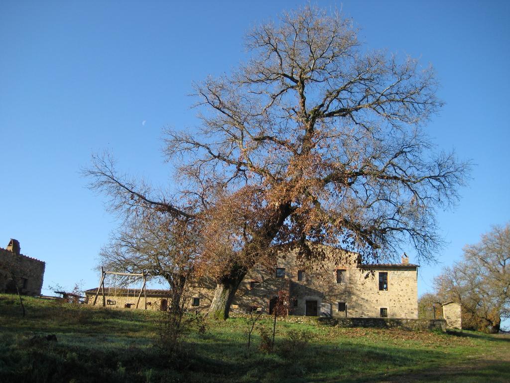 Agriturismo Il Casalino Pari Luaran gambar