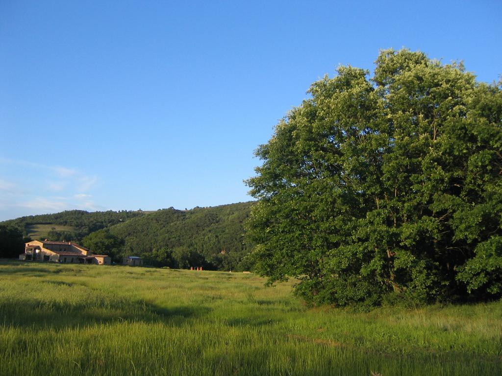 Agriturismo Il Casalino Pari Luaran gambar