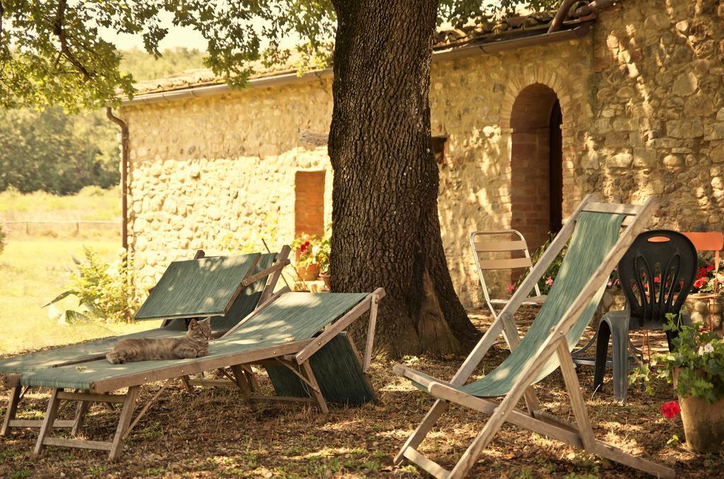 Agriturismo Il Casalino Pari Luaran gambar